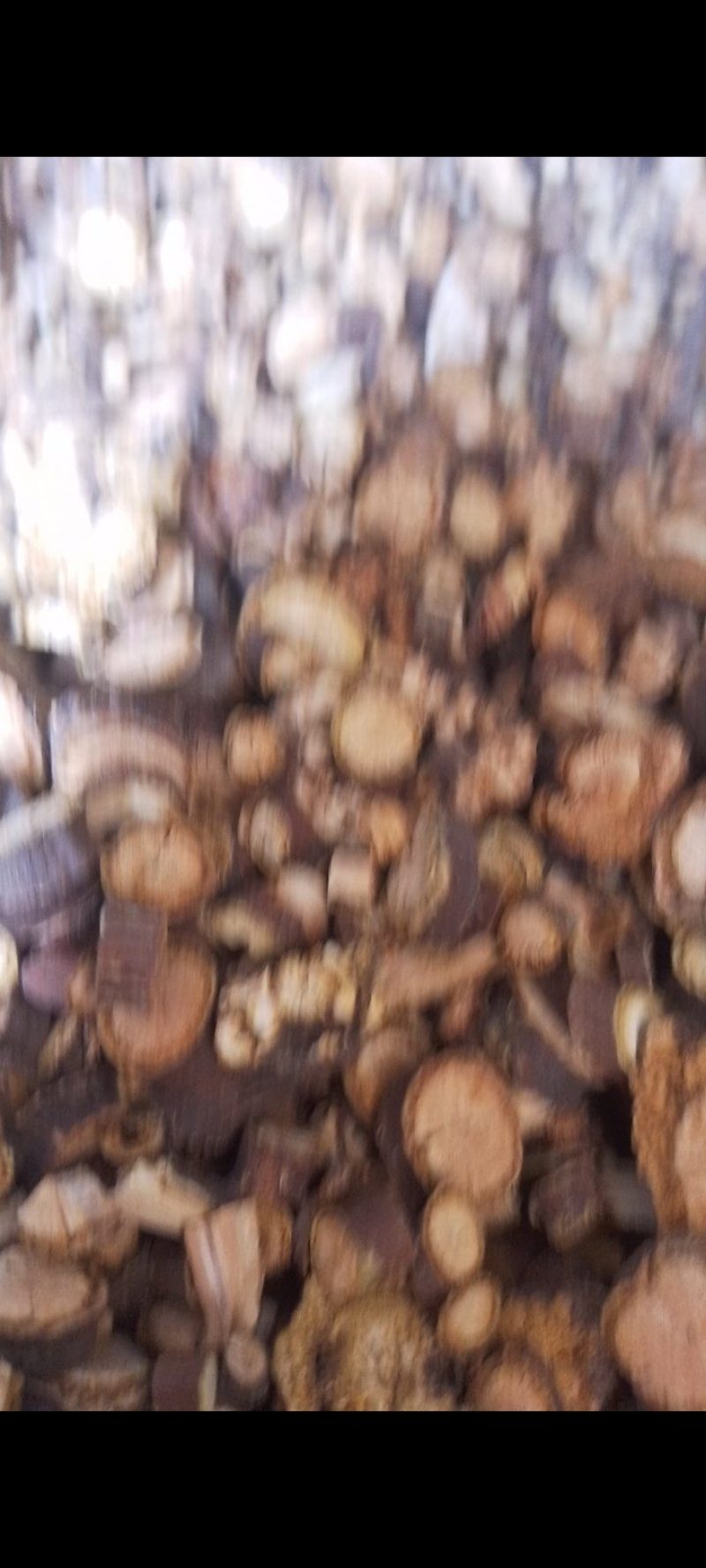 何首乌藤，夜交藤，各种藤木类中草药，冷背中草药