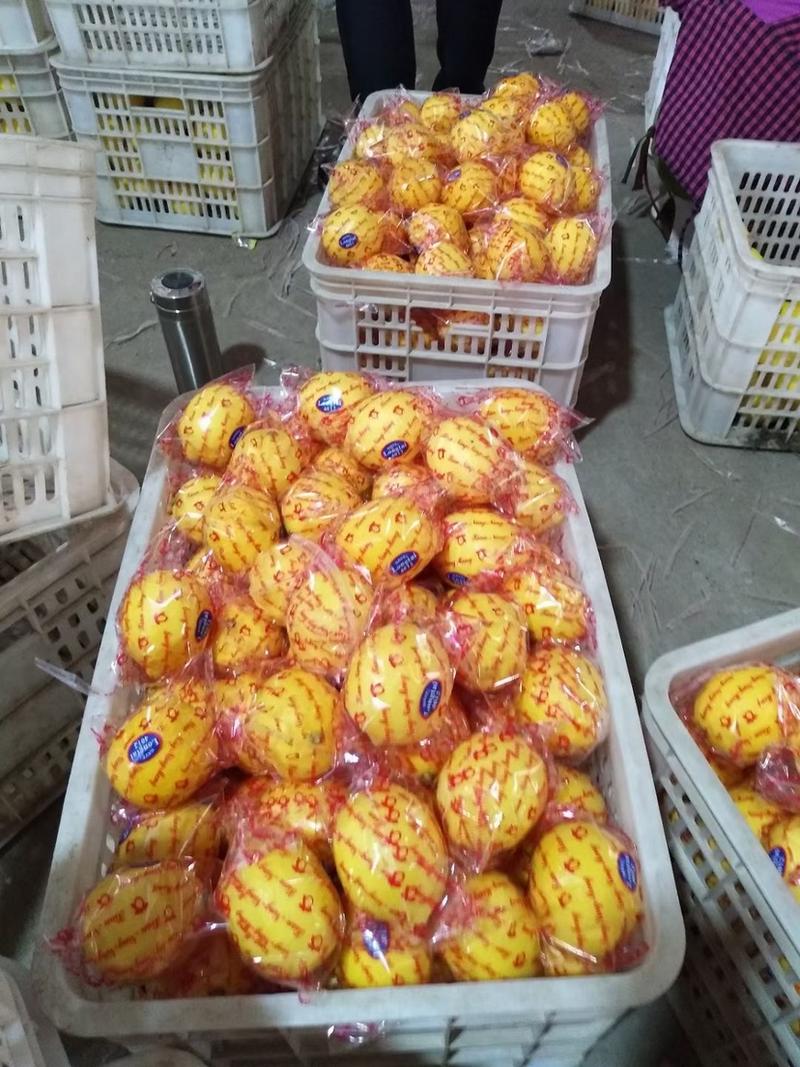 四川安岳柠檬产地直销精品花袋果一二级品质佳