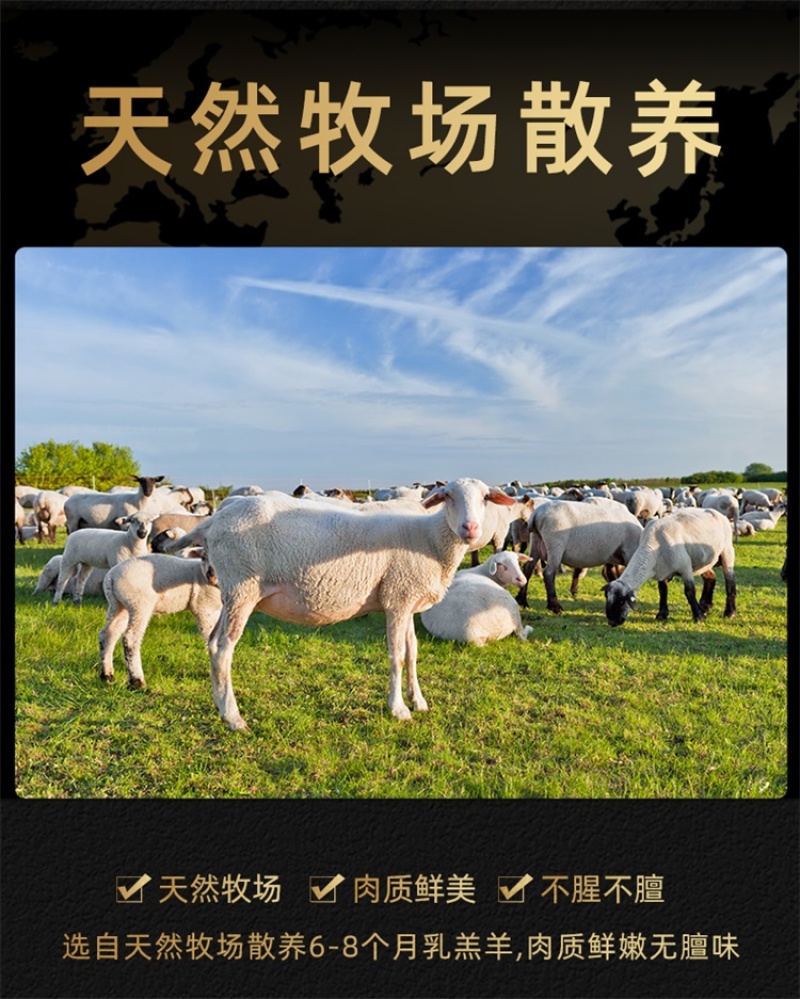 乳羔羊半羊套餐10斤/件新鲜现杀半只羊羊前腿羊后腿