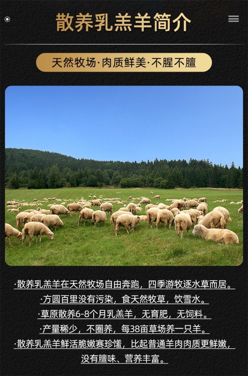 乳羔羊半羊套餐10斤/件新鲜现杀半只羊羊前腿羊后腿