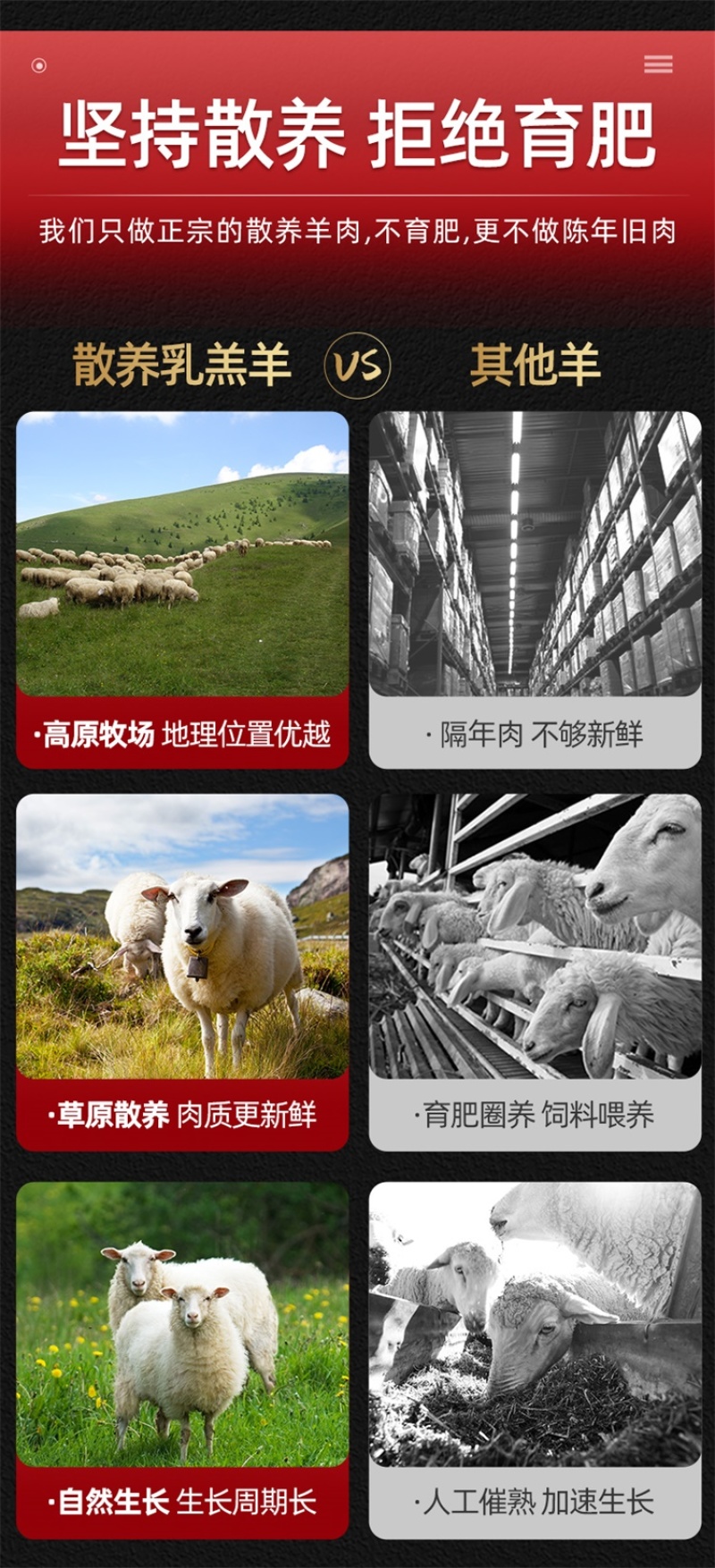 乳羔羊半羊套餐10斤/件新鲜现杀半只羊羊前腿羊后腿