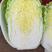 白菜湖北精品黄心白菜大量供应中质量保证价格便宜