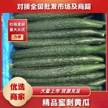 【推荐】夏邑县密刺黄瓜大量上市，欢迎各位客商前来采购产地