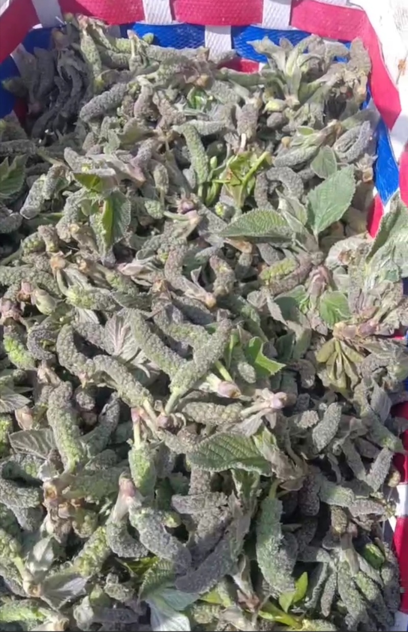 精品构桃棒