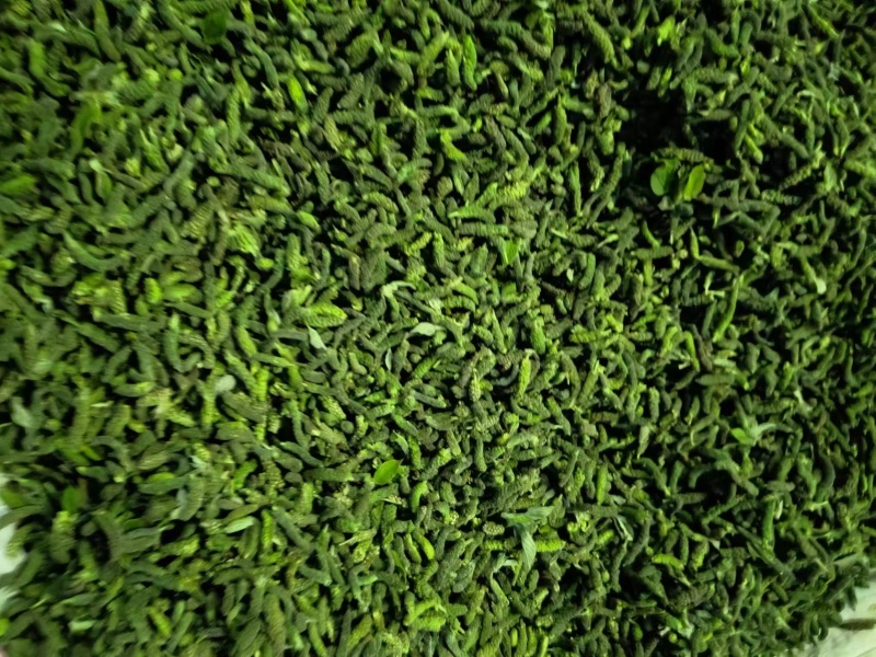精品构桃棒