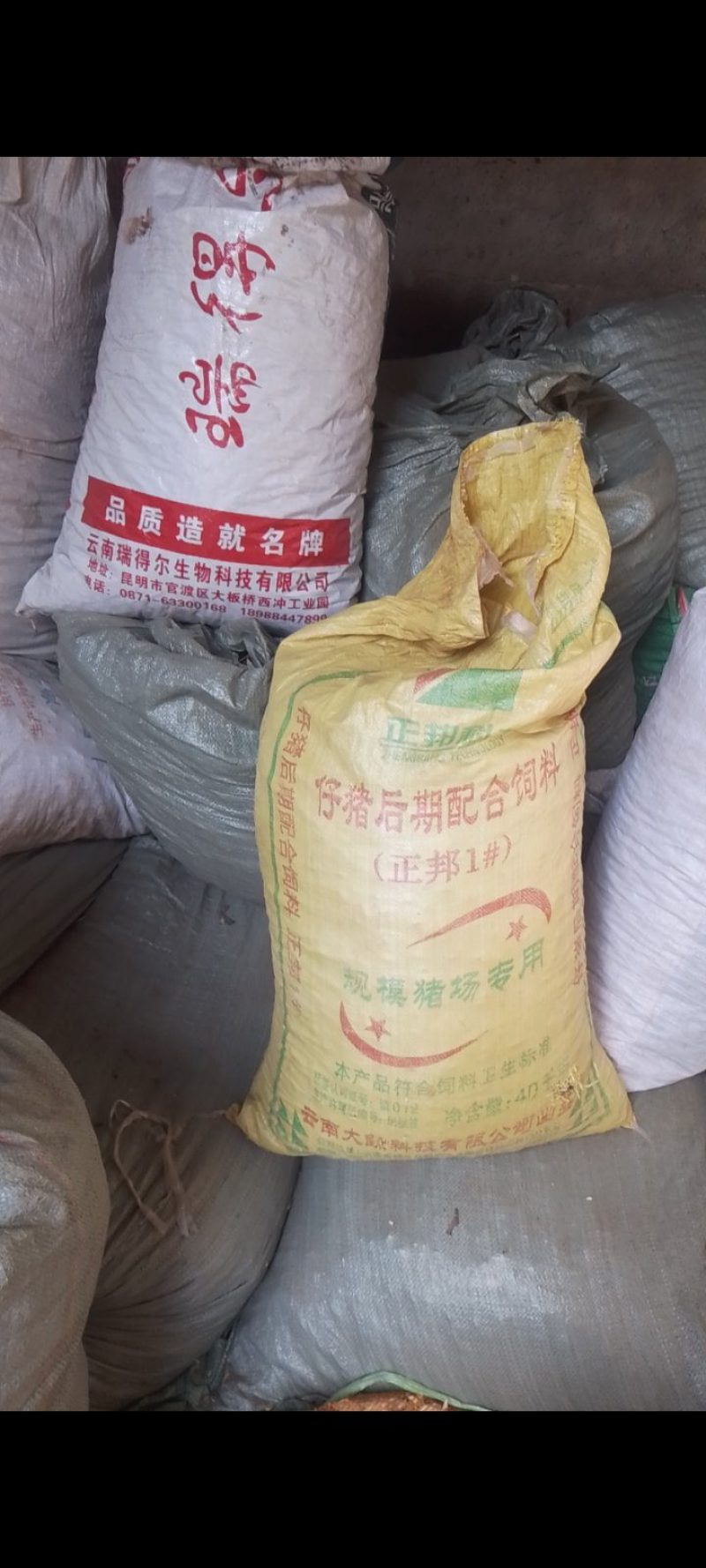 川木通，野生货，产地云南与四川地界，不是关木通