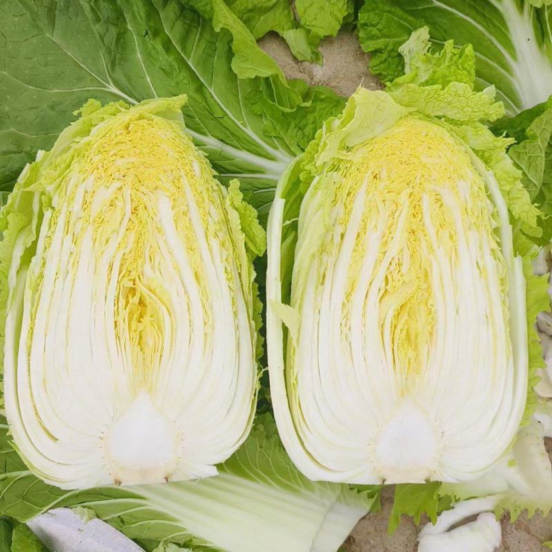 黄心菜