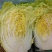 【精品】黄心大白菜，保质保量，河北邯郸产地直发，现摘现发