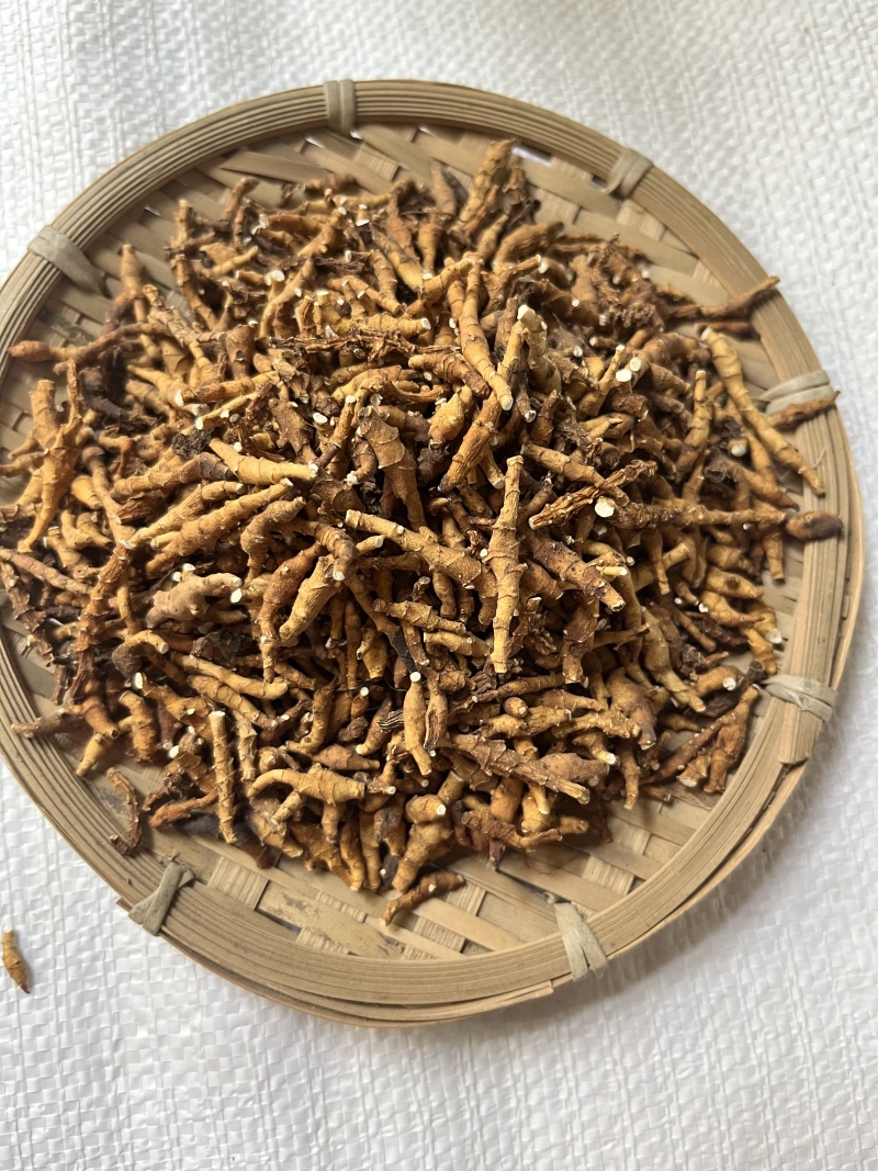 九节菖蒲干货陕西中药材小菖蒲中条选货无硫九节菖蒲正品