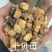 土贝母实物拍摄土贝母贝母保庆药材批发土贝母