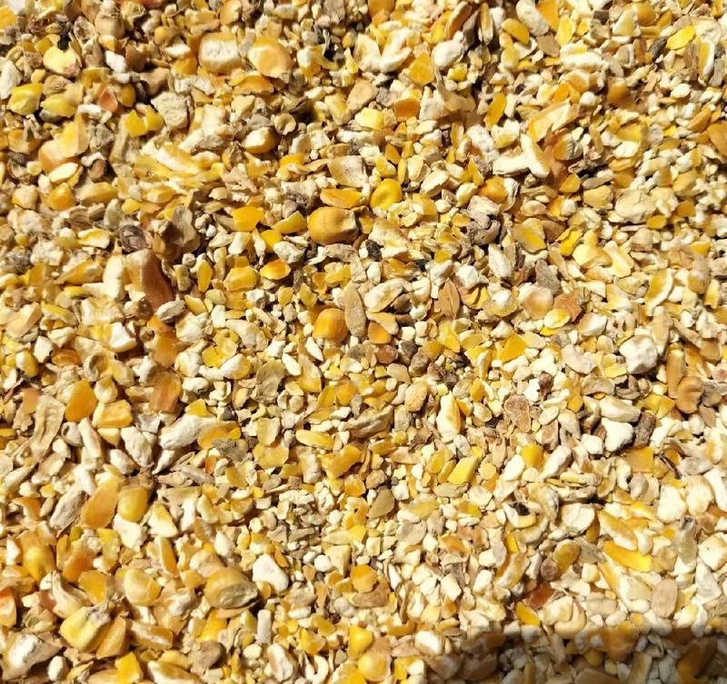 碎玉米碎玉米精粮无土无沙无霉变适用于家禽等