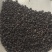 炒补骨脂实物拍摄保庆药批发炒补骨脂破故纸