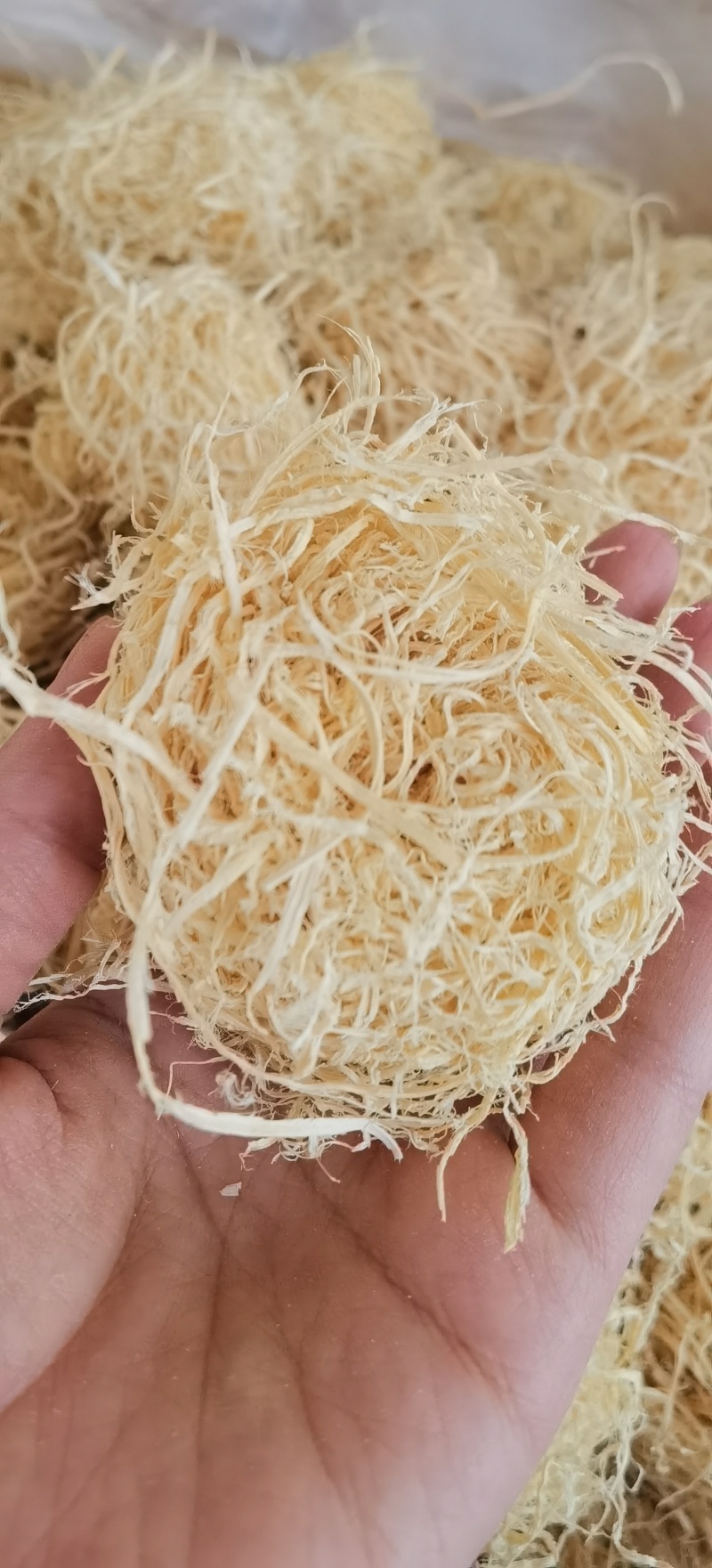 【竹茹球】1000克实物拍摄量大从优