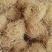 【竹茹球】1000克实物拍摄量大从优