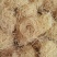 【竹茹球】1000克实物拍摄量大从优
