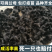 芦花鸡苗包防疫包运输包成活率货到满意付款诚意经营