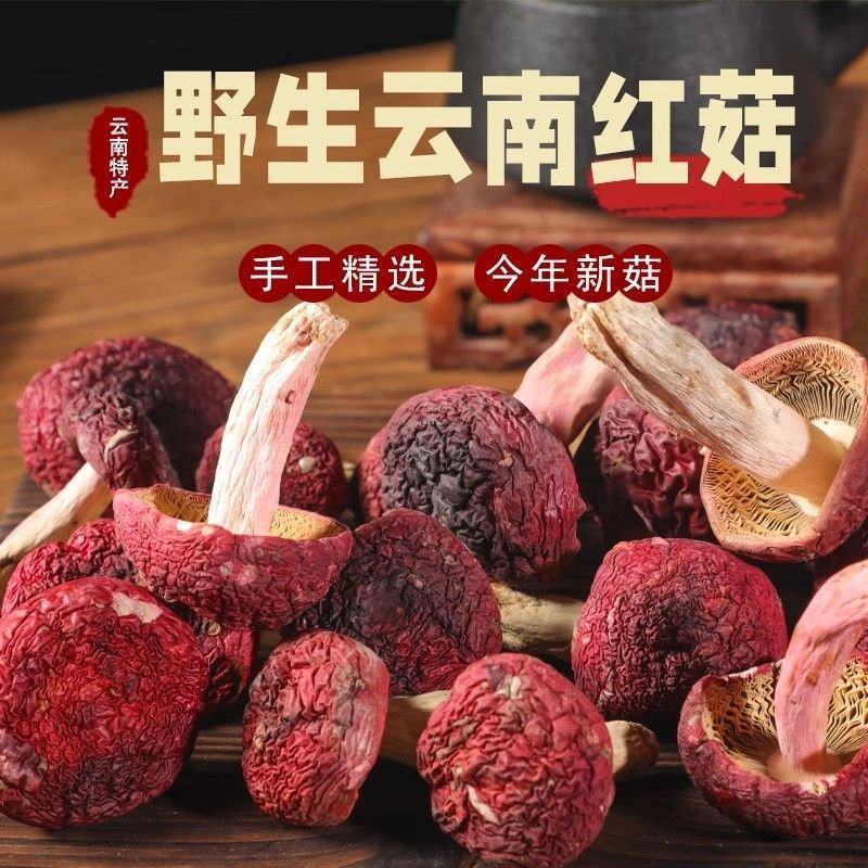 【云南野生红菇】云南野生小红菇丁菇红蘑菇当季新货包邮