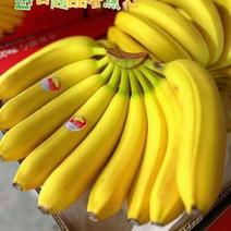 常年经营：特价精品香蕉、大箱、小箱、保质保量、可发全国。