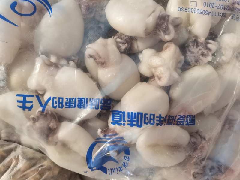 墨鱼仔，单冻鲜活墨鱼仔去皮去内脏，饭店捞汁食材