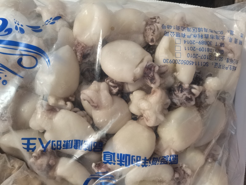 墨鱼仔，单冻鲜活墨鱼仔去皮去内脏，饭店捞汁食材