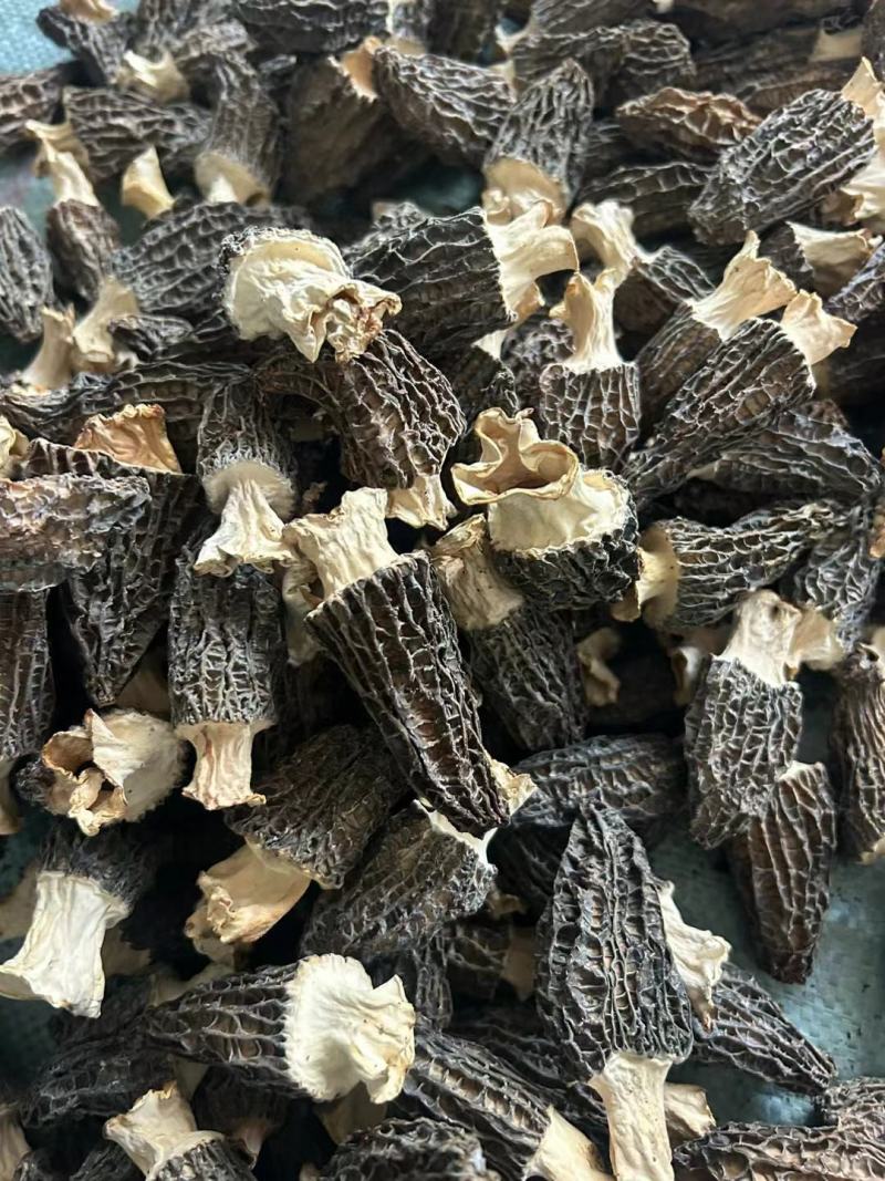 种植的羊肚菌，干（鲜）货都有～