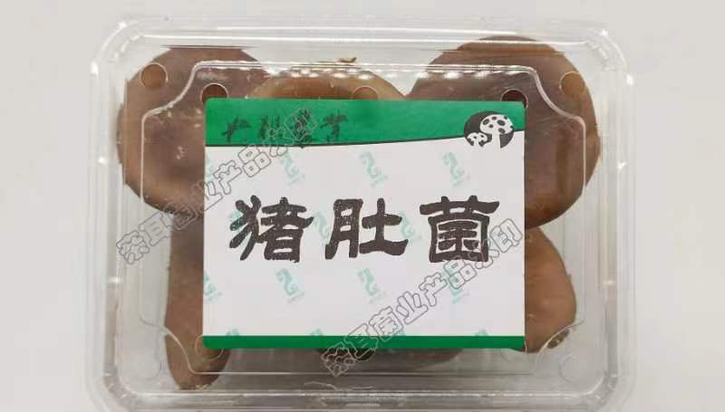 特等鲜猪肚菇