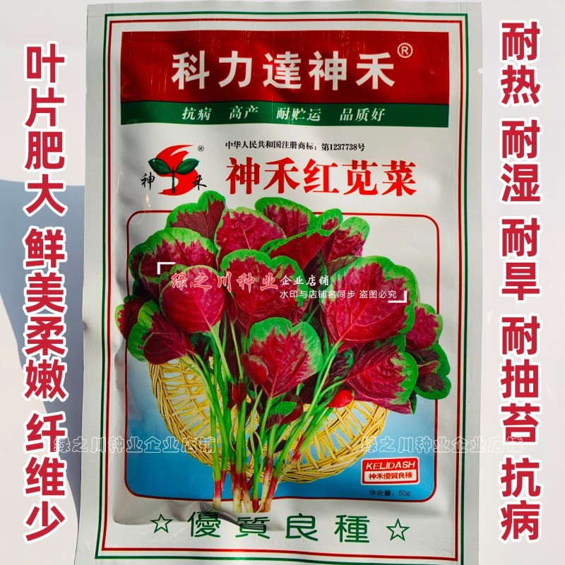 红苋菜种子耐热耐旱耐湿蔬菜种子近圆叶花红苋菜种籽春秋大田