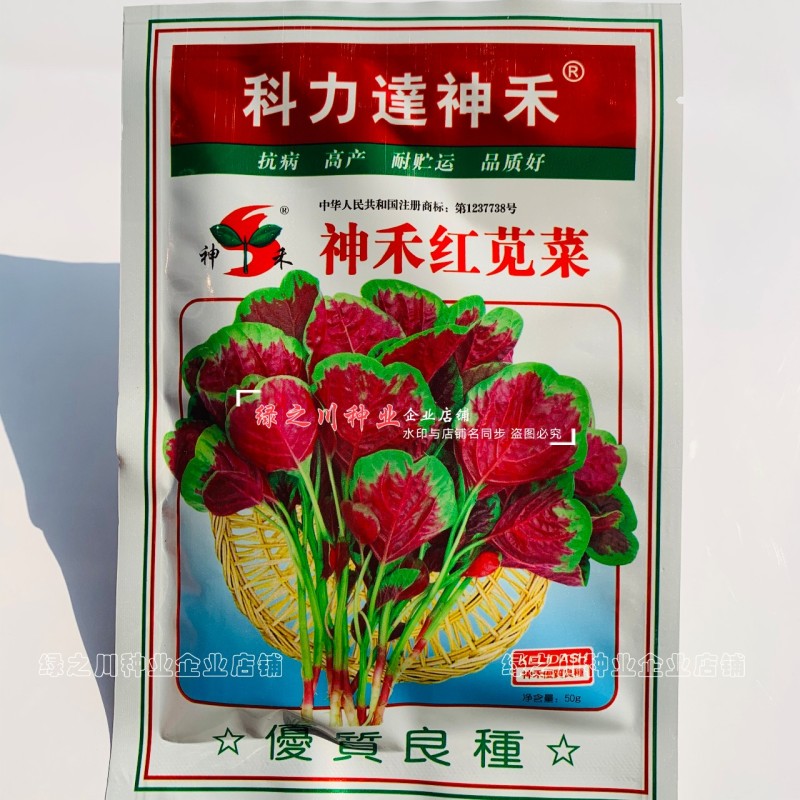 红苋菜种子耐热耐旱耐湿蔬菜种子近圆叶花红苋菜种籽春秋大田