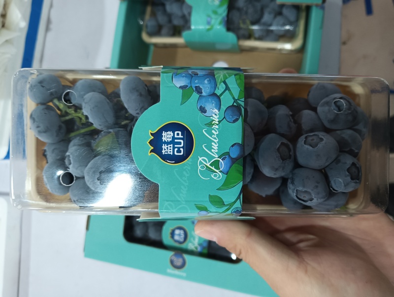 蓝莓串果