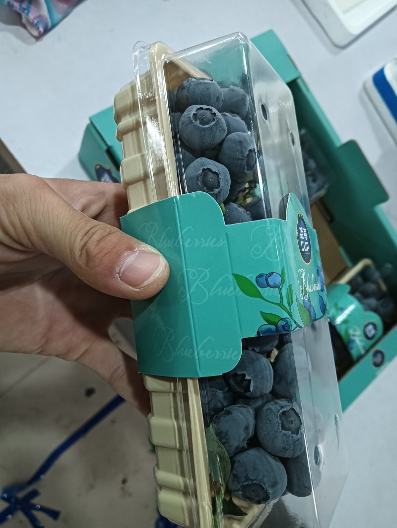 蓝莓串果