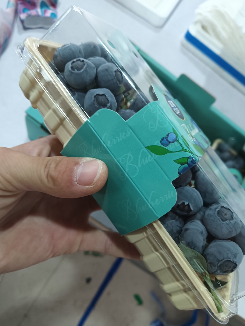 蓝莓串果