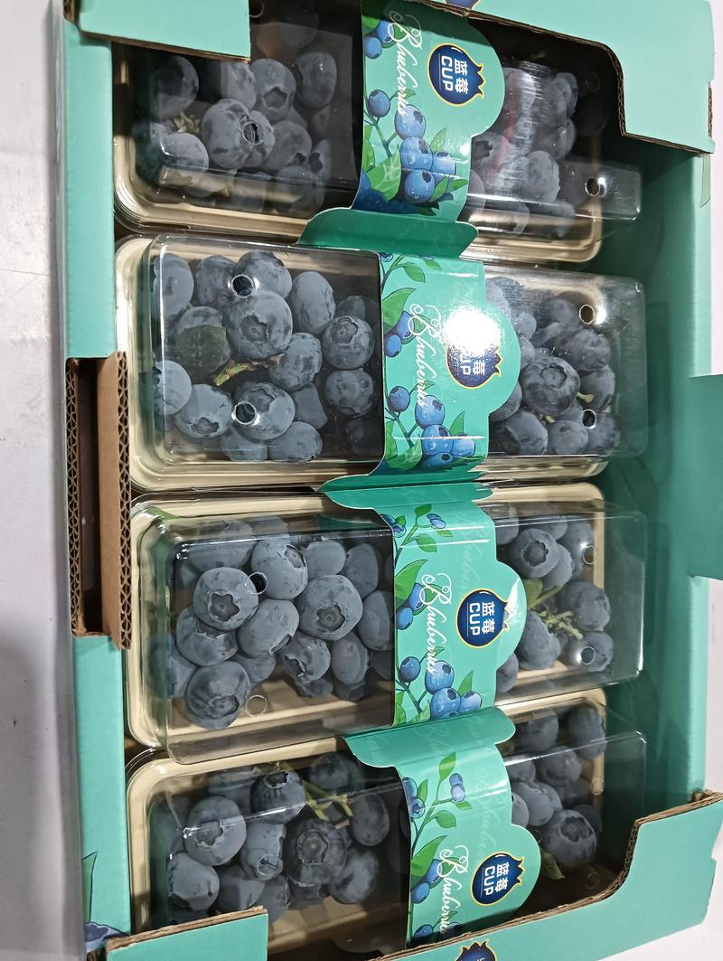 蓝莓串果