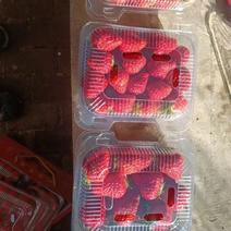 优质草莓出售