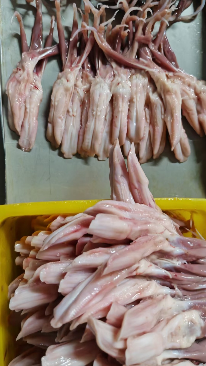 鸭舌