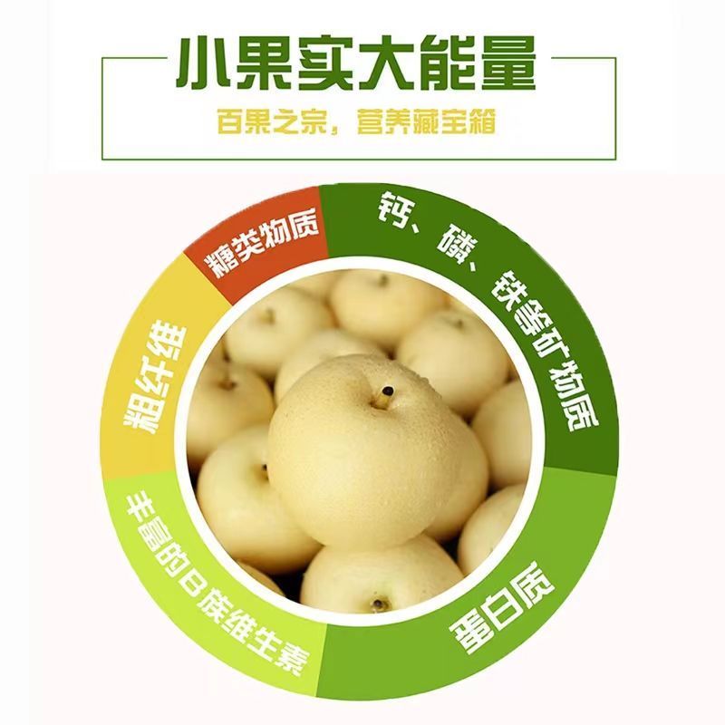 包邮河北皇冠梨应季水果梨薄皮梨子整箱水果新鲜梨10斤