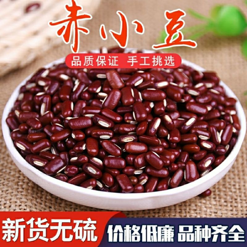 七月菊黄山贡菊白菊花茶产地货源全店包邮
