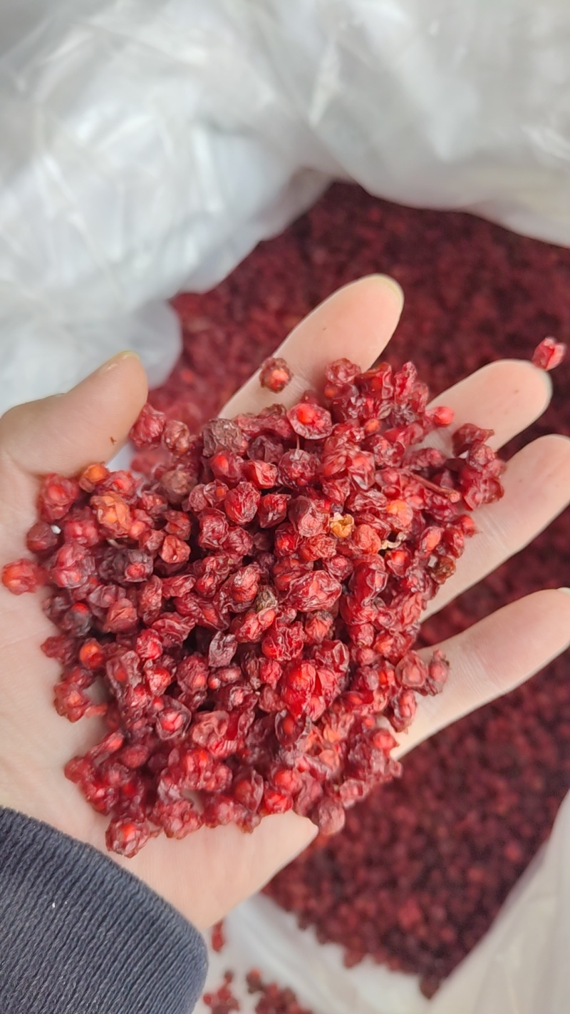 七月菊黄山贡菊白菊花茶产地货源全店包邮