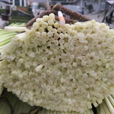 蒜薹