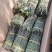 铁皮石斛，基地直发主营各地土特产一手货源质量保证大量供应