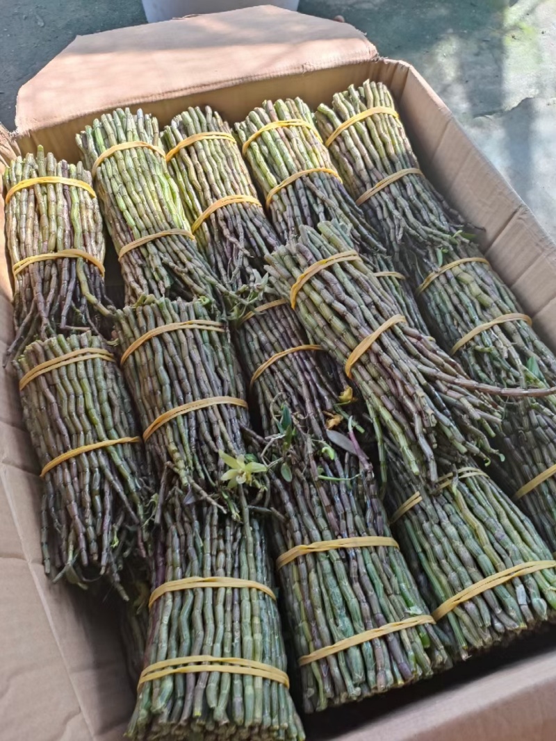铁皮石斛，基地直发主营各地土特产一手货源质量保证大量供应