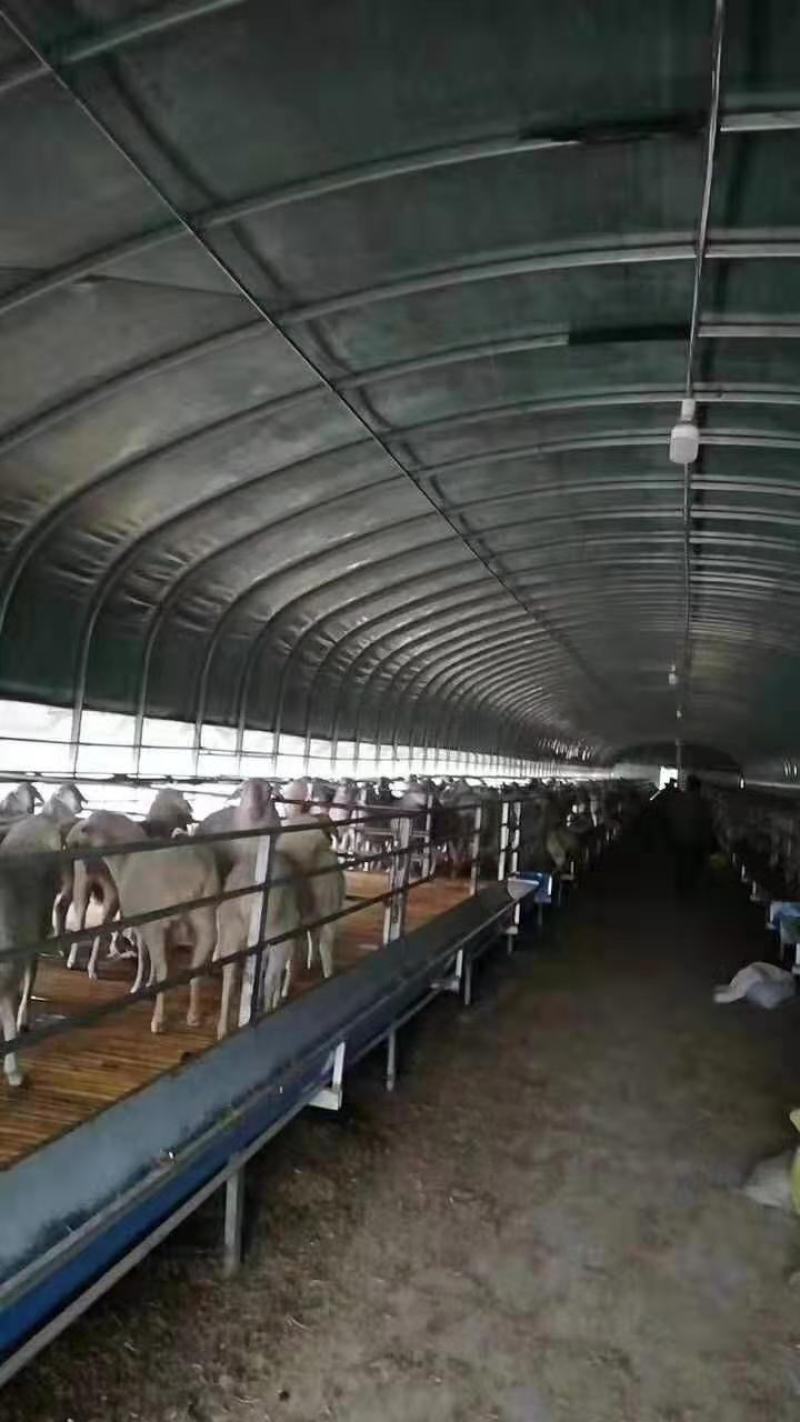 批发各种大棚骨架上门定做各种养殖大棚