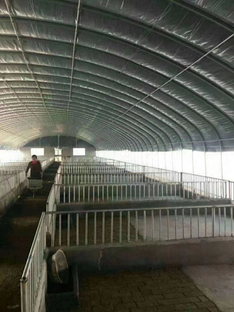 批发各种大棚骨架上门定做各种养殖大棚