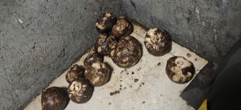 纯手工魔芋豆腐，传统手艺，不含魔芋粉，不添加任何防腐剂