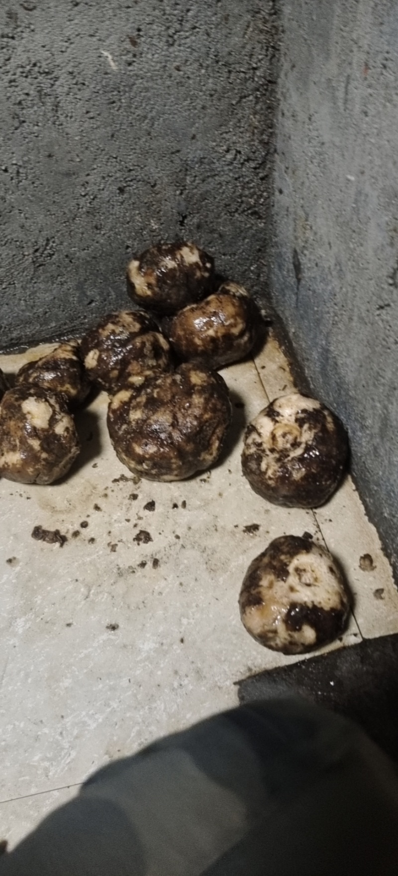 纯手工魔芋豆腐，传统手艺，不含魔芋粉，不添加任何防腐剂