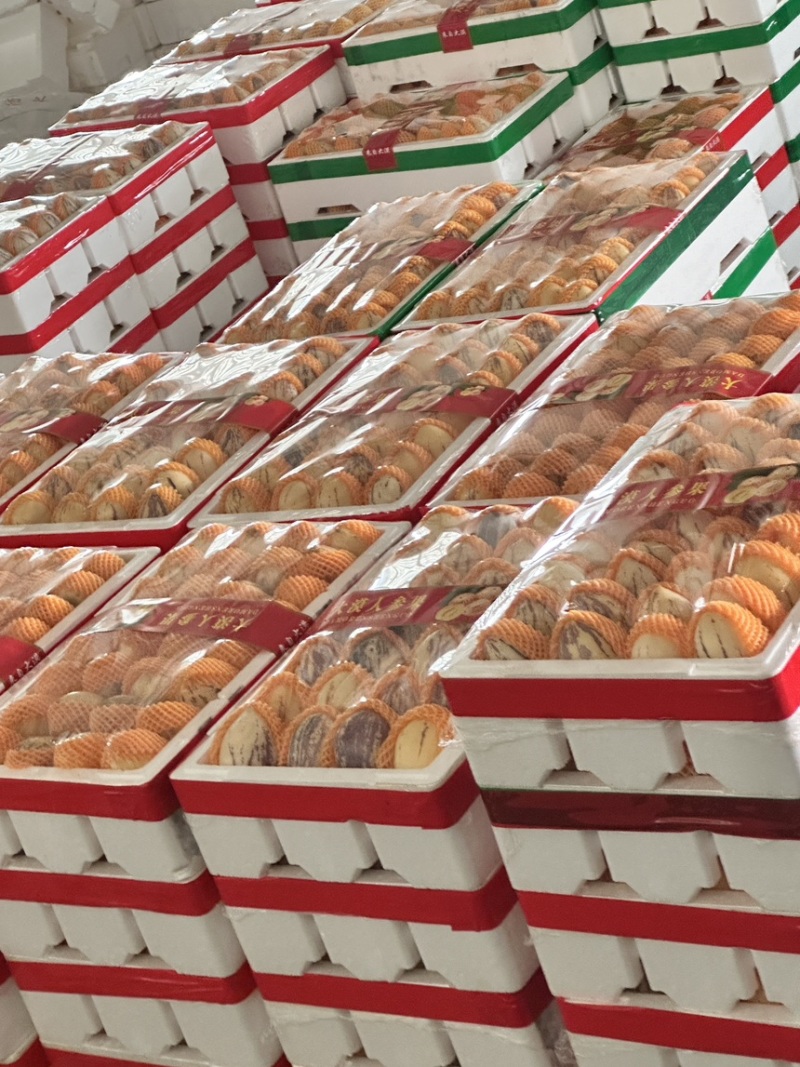 甘肃沙漠人参果精品果损耗小品质优可直接对接市场