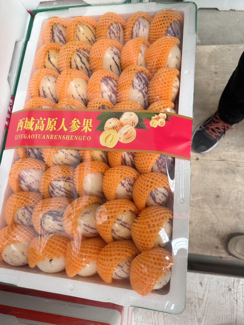 甘肃沙漠人参果精品果损耗小品质优可直接对接市场