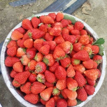 草莓🍓