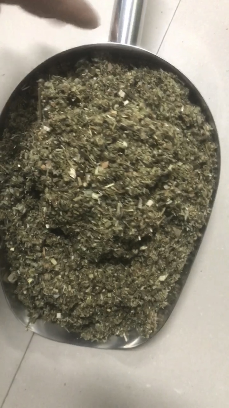 艾草种子多年生野生香草种子，批发零售，量大优惠