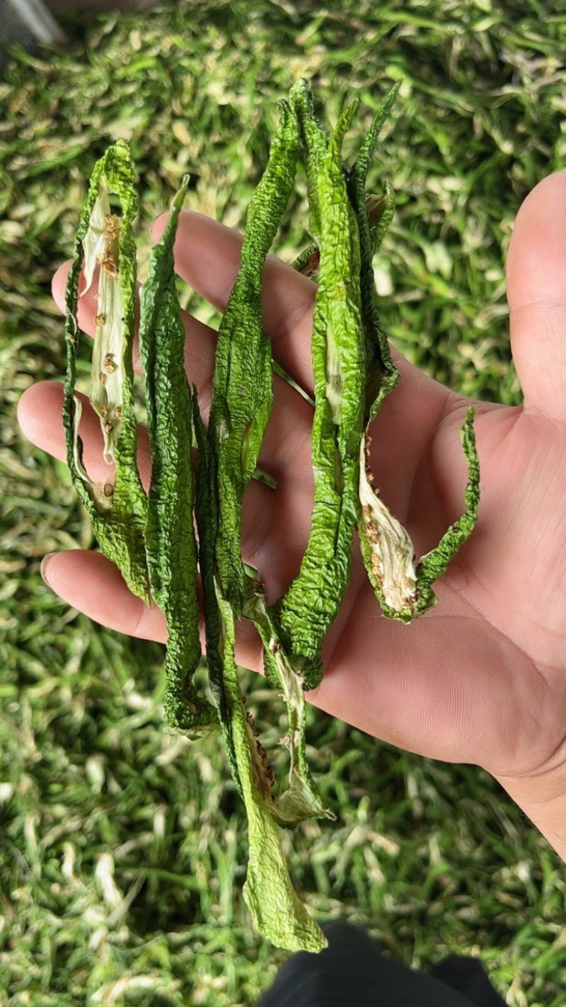精选干绿辣椒皮青辣椒片青辣椒条绿辣椒条青椒丝厚皮