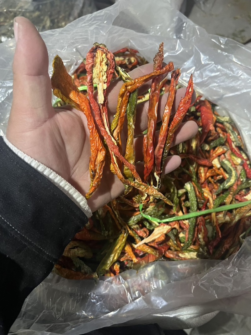 精选干绿辣椒皮青辣椒片青辣椒条绿辣椒条青椒丝厚皮